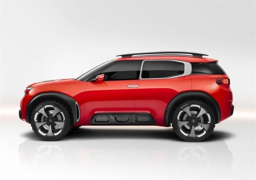 Cactus вырос в Aircross