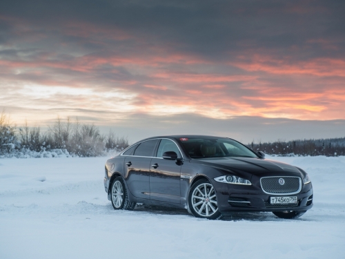 Кошачий вальс: танцы на льду за рулем полноприводных Jaguar