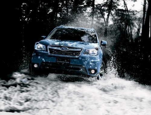 В Россию привезли особые версии Subaru Forester и XV