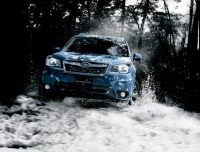 В Россию привезли особые версии Subaru Forester и XV